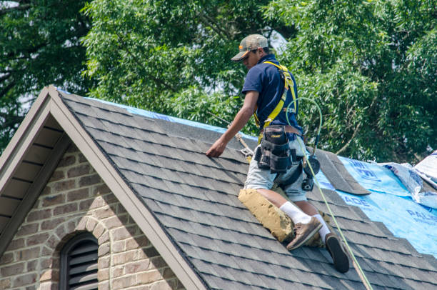 Best New Roof Installation  in Trenton, OH